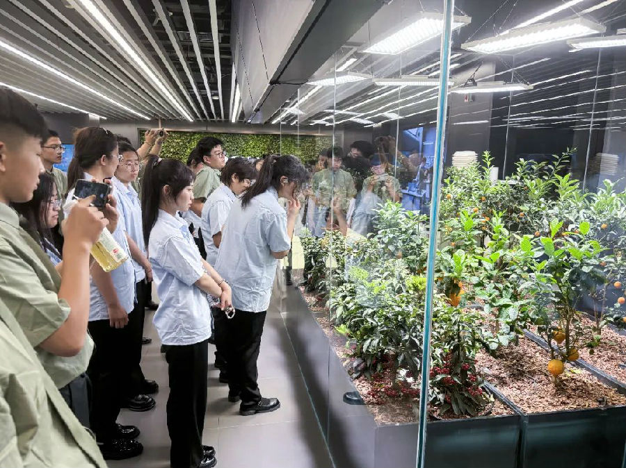八維職業(yè)學(xué)校打造學(xué)子們就業(yè)啟航站引領(lǐng)你走向成功