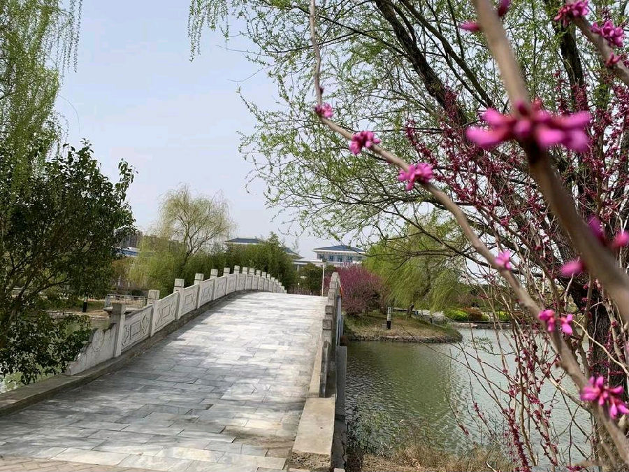 八維教育攜手AI崛起風(fēng)口，助力學(xué)子讓夢想照進現(xiàn)實